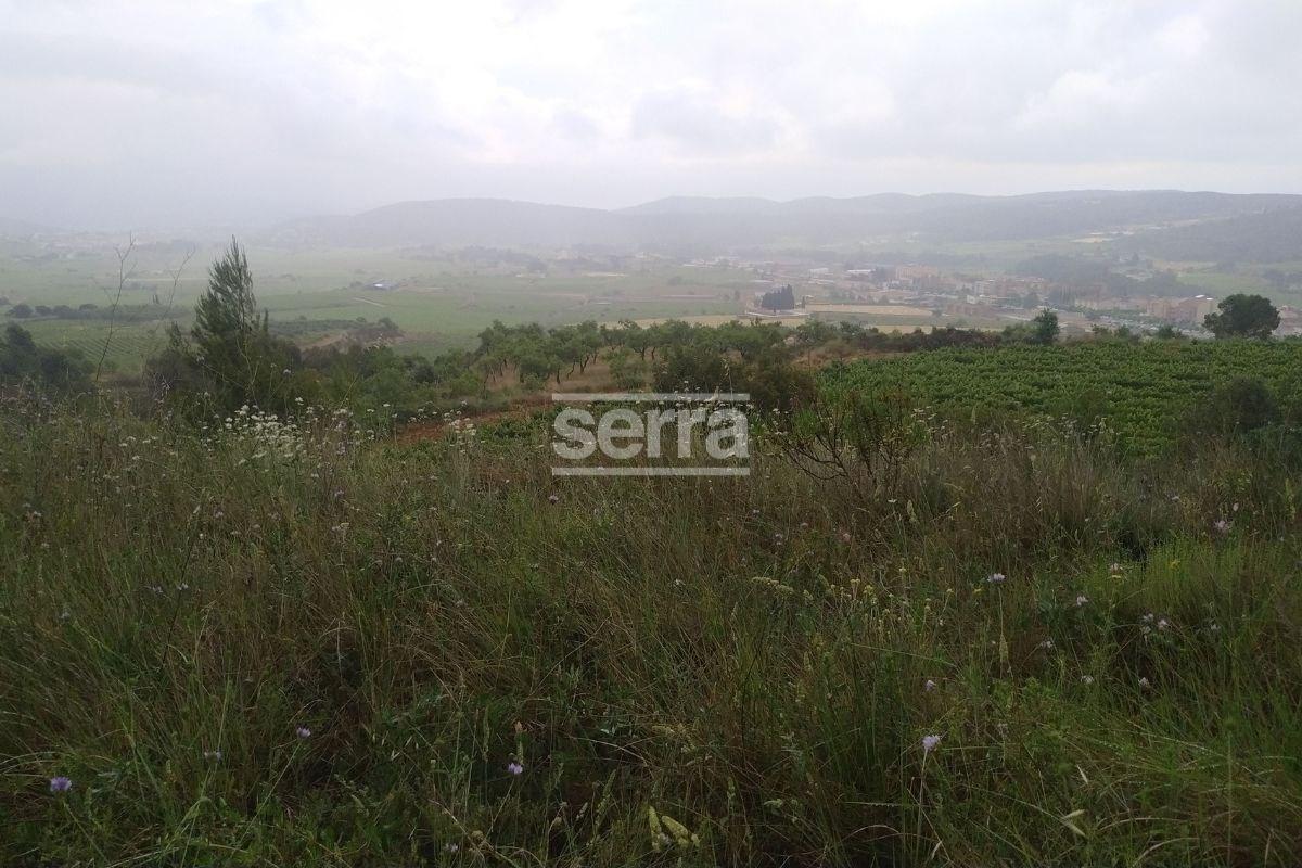 TORRELLES DE FOIX - Finca de 80.000 m2 para montar un camping, una hipica o para usos educativos-3