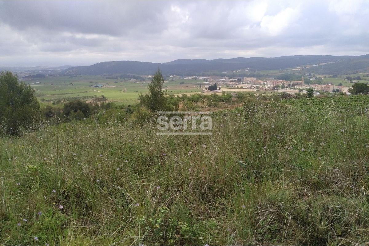 TORRELLES DE FOIX - Finca de 80.000 m2 para montar un camping, una hipica o para usos educativos-10