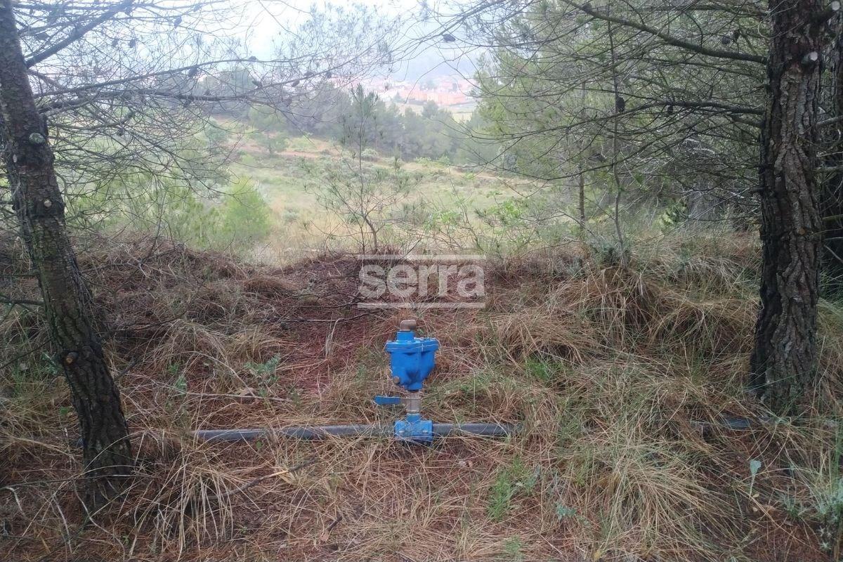 TORRELLES DE FOIX - Finca de 80.000 m2 para montar un camping, una hipica o para usos educativos-2