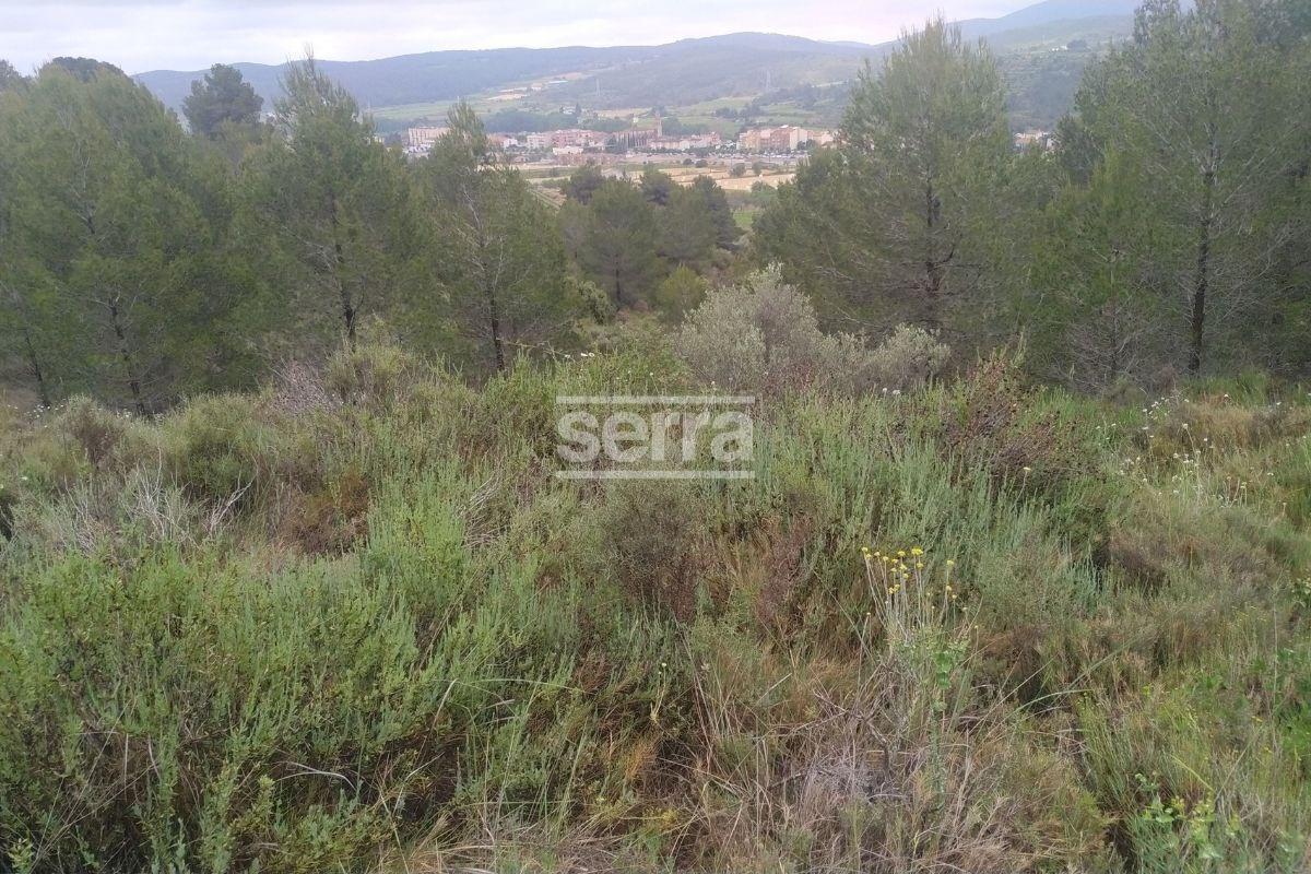 TORRELLES DE FOIX - Finca de 80.000 m2 para montar un camping, una hipica o para usos educativos-13