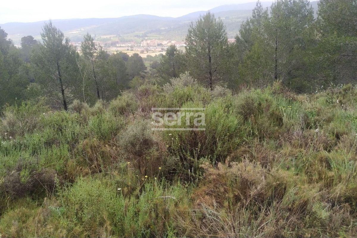 TORRELLES DE FOIX - Finca de 80.000 m2 para montar un camping, una hipica o para usos educativos-15