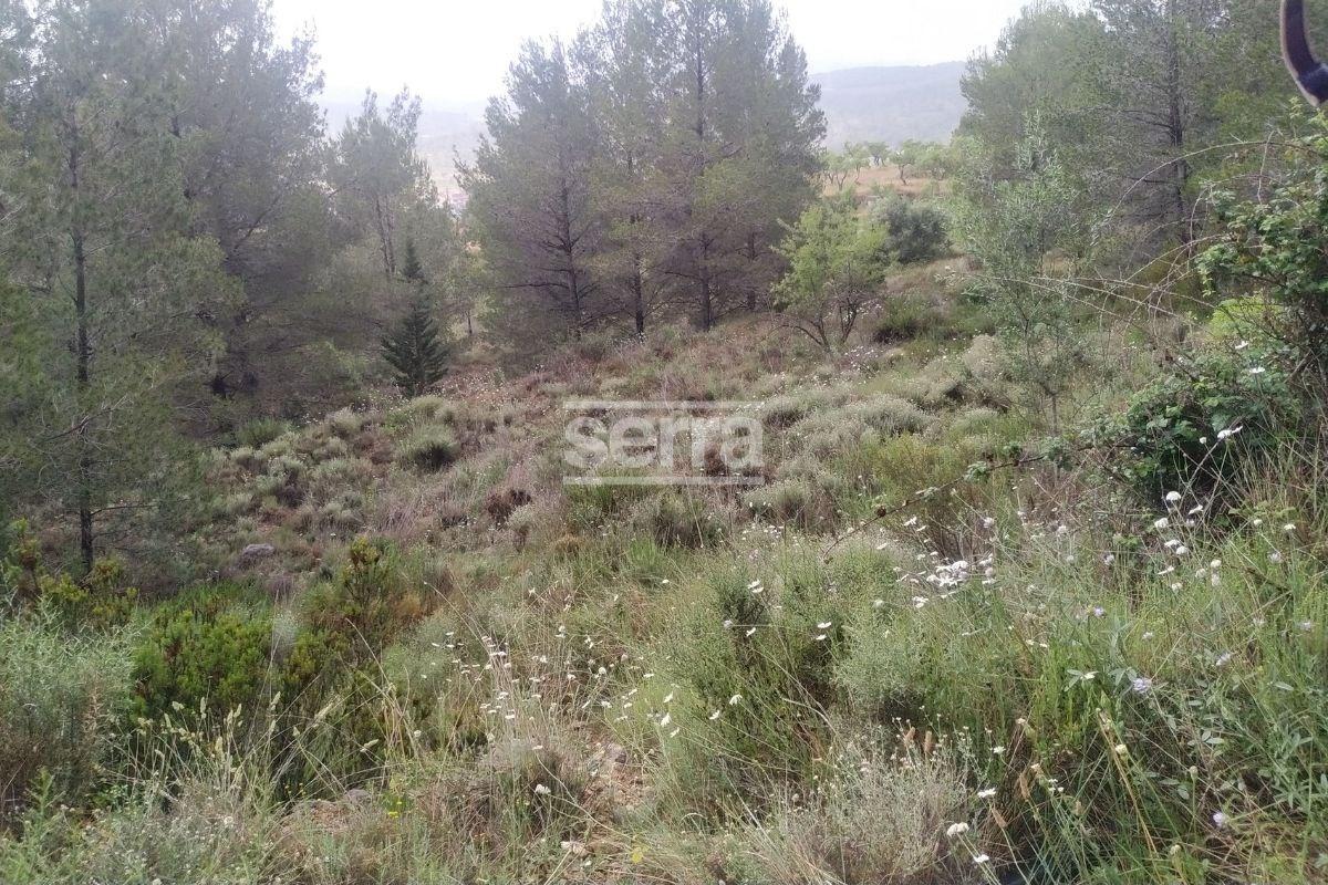 TORRELLES DE FOIX - Finca de 80.000 m2 para montar un camping, una hipica o para usos educativos-14
