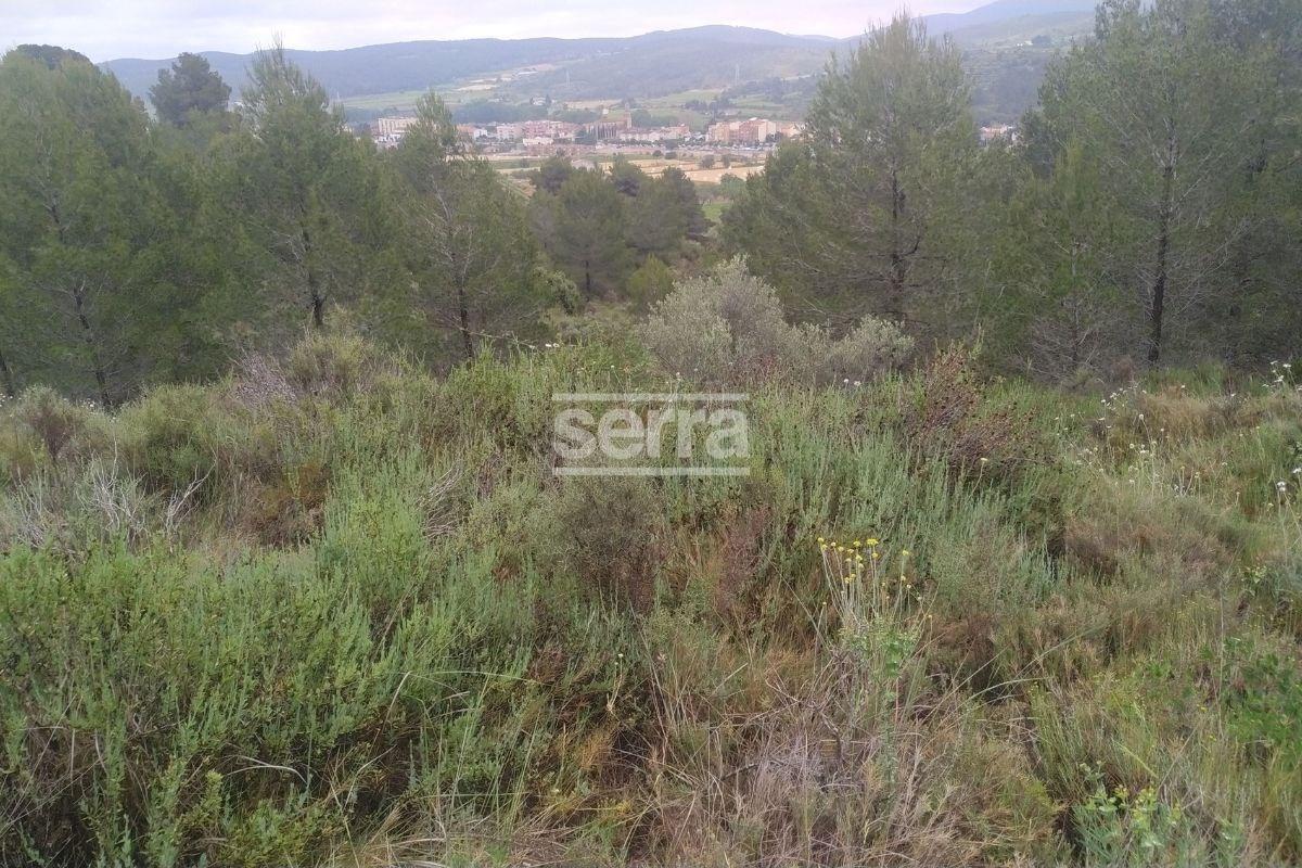 TORRELLES DE FOIX - Finca de 80.000 m2 para montar un camping, una hipica o para usos educativos-11