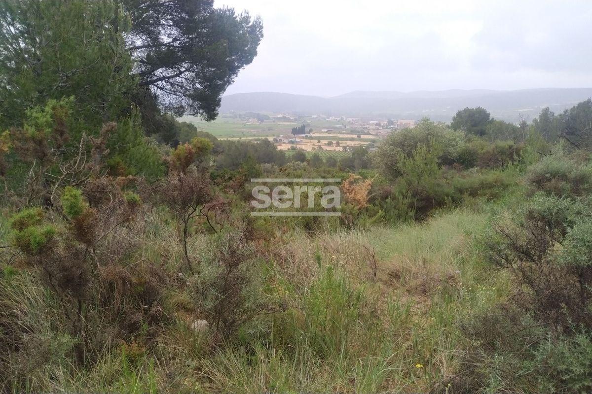 TORRELLES DE FOIX - Finca de 80.000 m2 para montar un camping, una hipica o para usos educativos-9