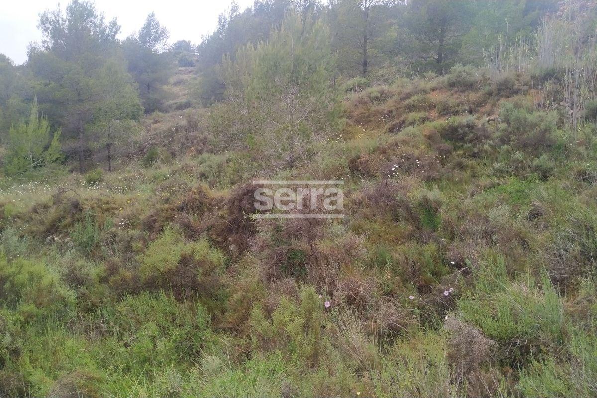 TORRELLES DE FOIX - Finca de 80.000 m2 para montar un camping, una hipica o para usos educativos-12