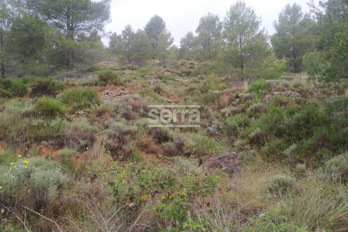 TORRELLES DE FOIX - Finca de 80.000 m2 para montar un camping, una hipica o para usos educativos-16
