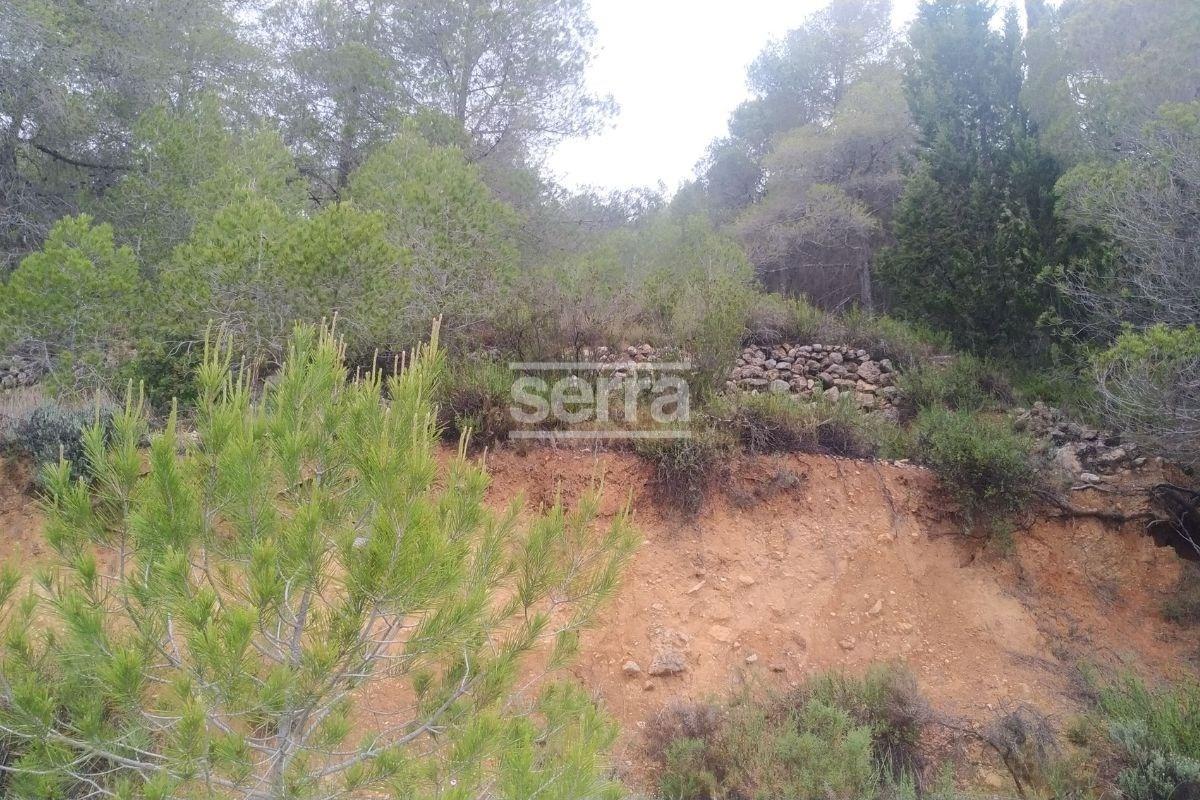 TORRELLES DE FOIX - Finca de 80.000 m2 para montar un camping, una hipica o para usos educativos-7
