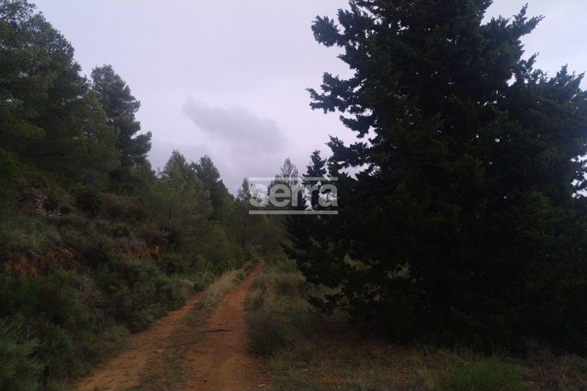 TORRELLES DE FOIX - Finca de 80.000 m2 para montar un camping, una hipica o para usos educativos
