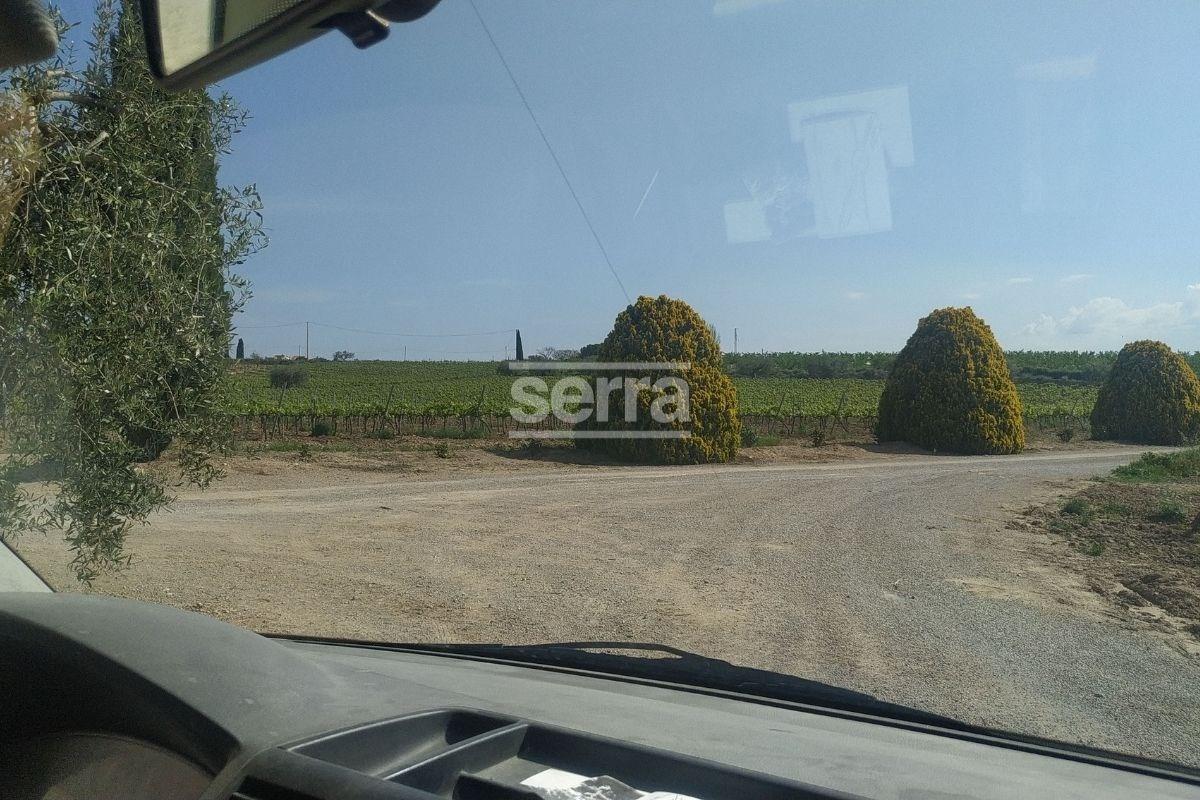 SANT MARTI SARROCA- Viña en venda-9