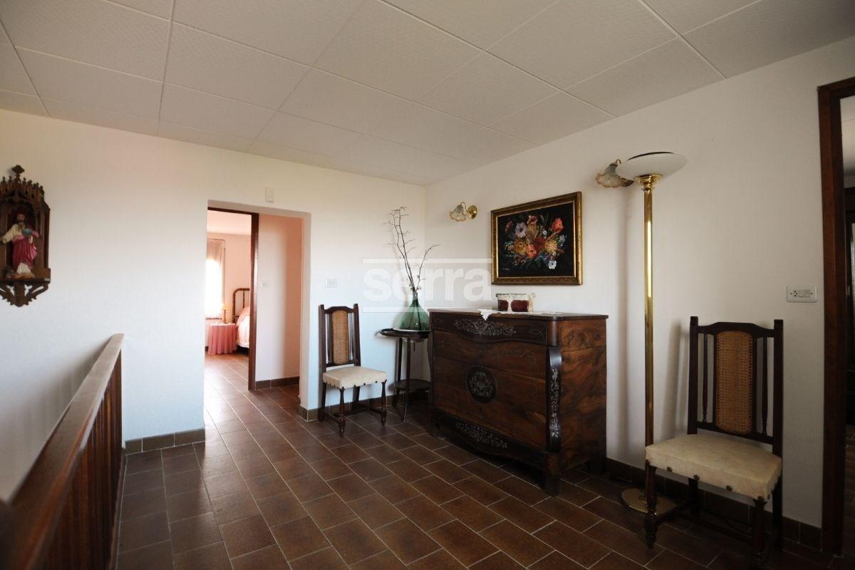 Finca en venda amb 9 hectàrees de vinyes a Sant  Martí Sarroca.-31