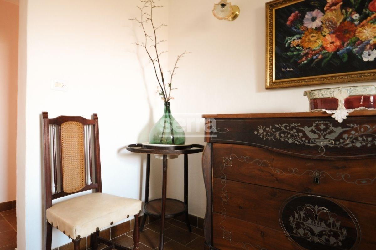Finca en venda amb 9 hectàrees de vinyes a Sant  Martí Sarroca.-32