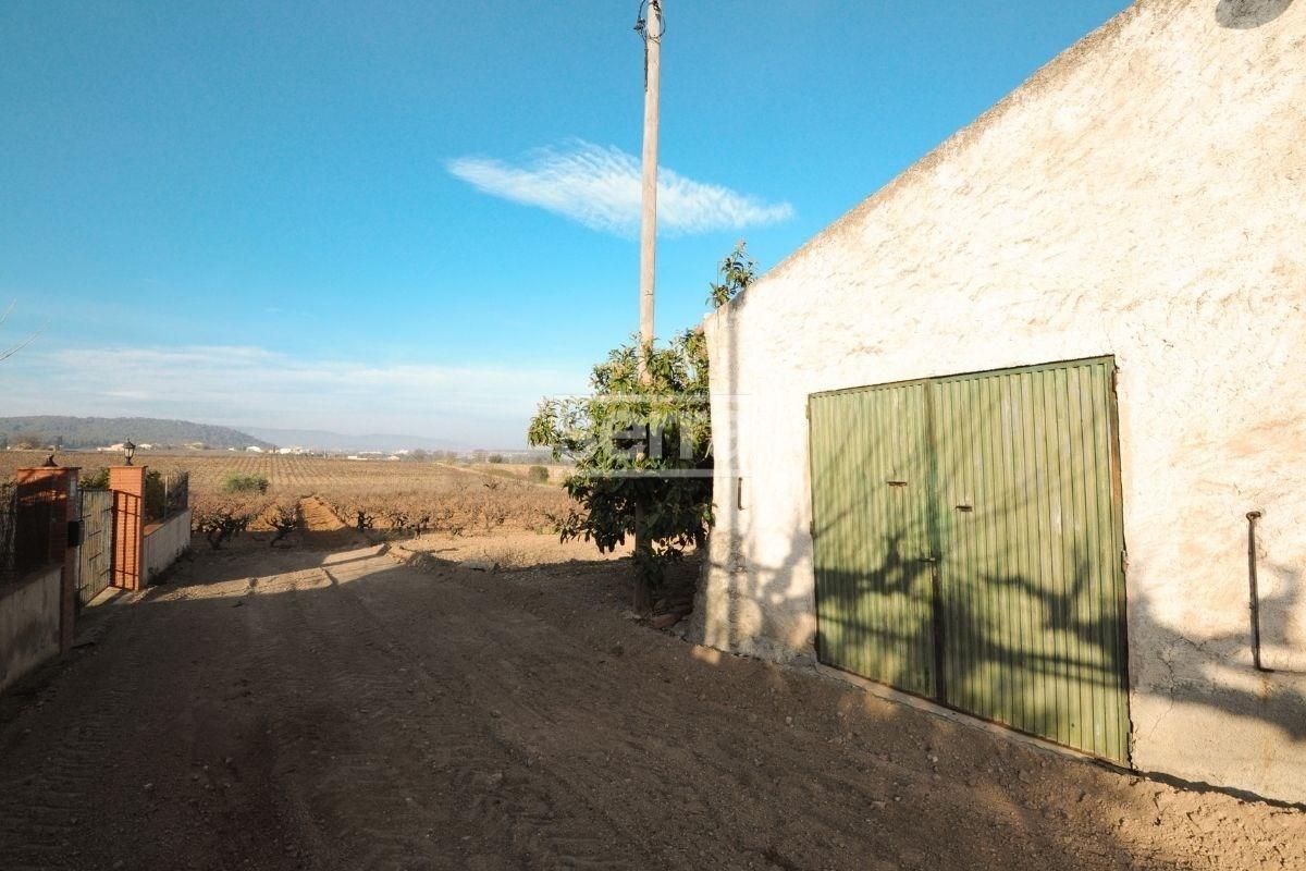 Finca en venda amb 9 hectàrees de vinyes a Sant  Martí Sarroca.-20
