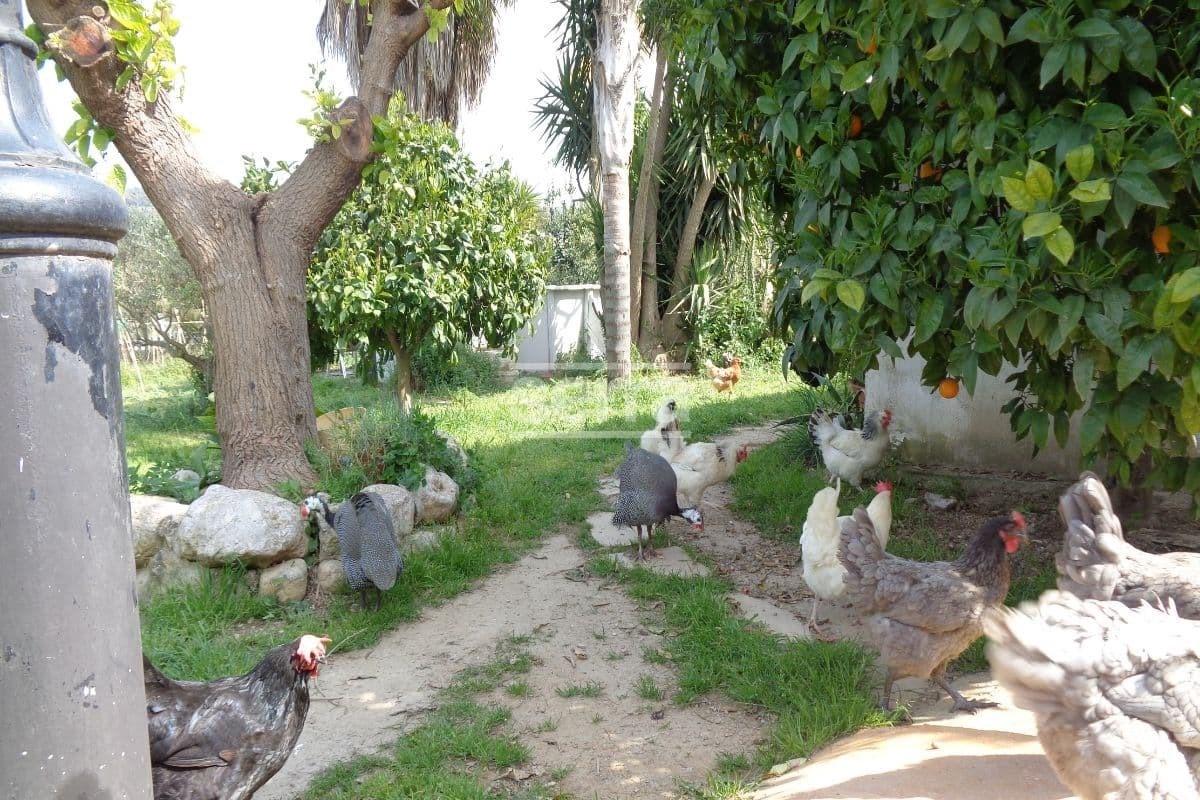 CASTELLET I LA GORNAL - Casa en las Masuques ideal para vivir o casa rural