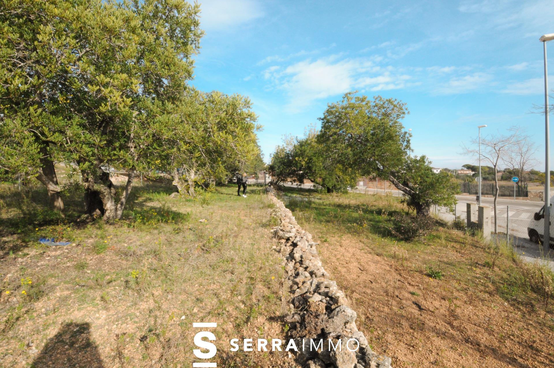 ¡Oportunidad Única! Venta de Parcelas en la Urbanización Fond de Somella, Vilanova i la Geltrú-7